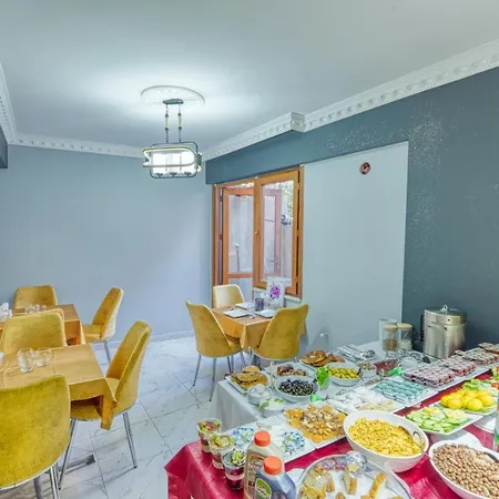 Hotel Garth Of Balat Stambuł